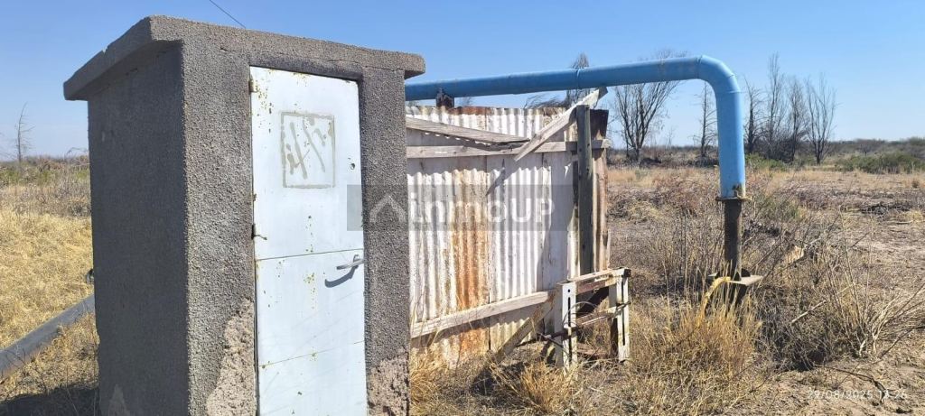 Finca en Venta en Santa Rosa, Mendoza