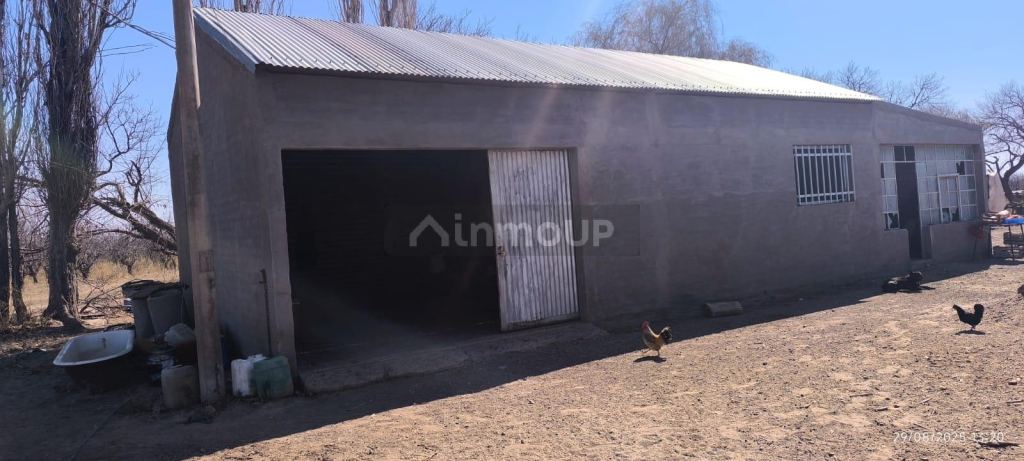 Finca en Venta en Santa Rosa, Mendoza