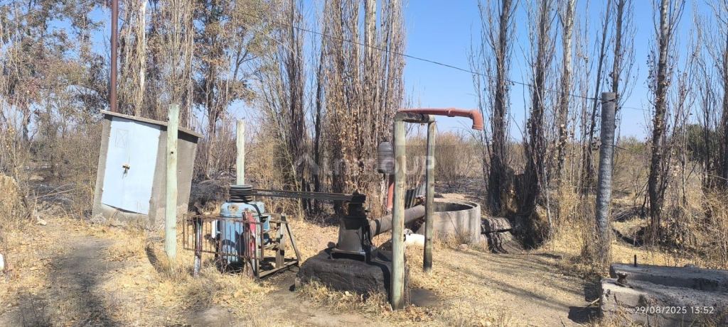 Finca en Venta en Santa Rosa, Mendoza