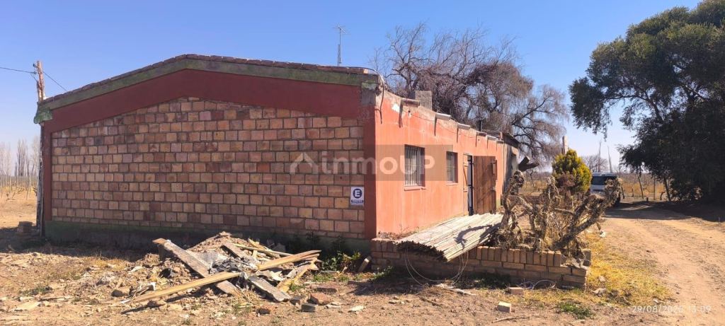 Finca en Venta en Santa Rosa, Mendoza