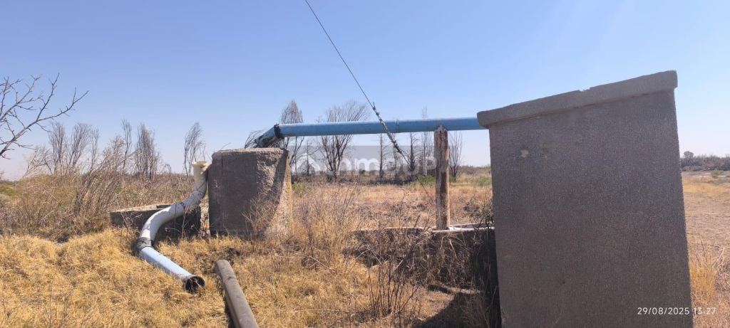 Finca en Venta en Santa Rosa, Mendoza