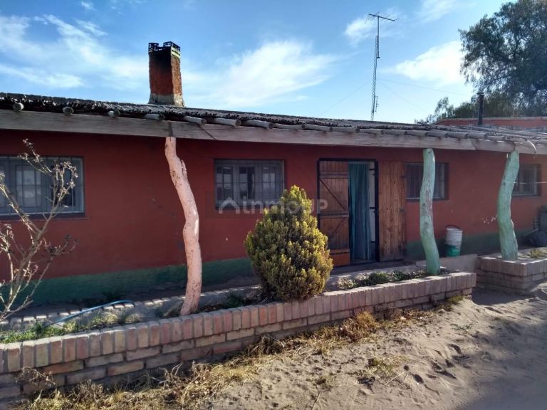 Finca en Venta en Santa Rosa, Mendoza