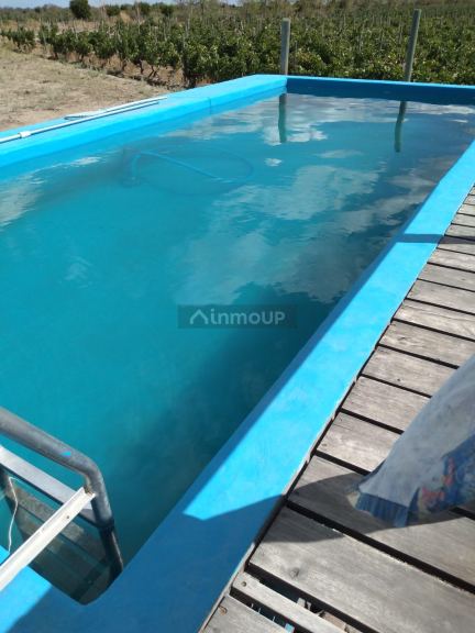 Finca en Venta en Santa Rosa, Mendoza
