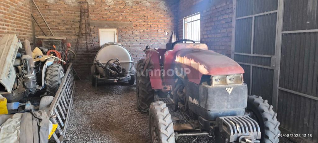 Finca en Venta en Santa Rosa, Mendoza
