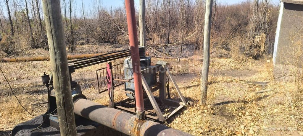 Finca en Venta en Santa Rosa, Mendoza
