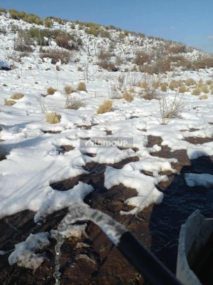 Terreno en Venta en Tupungato, Mendoza