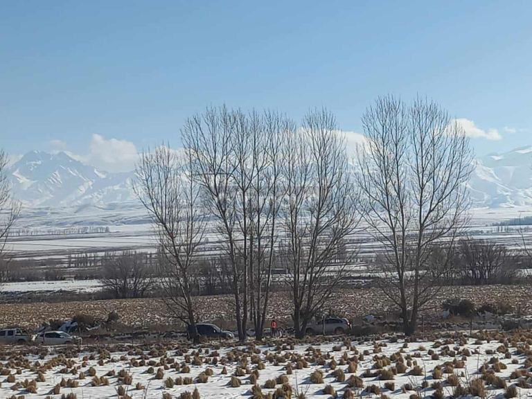 Terreno en Venta en Tupungato, Mendoza