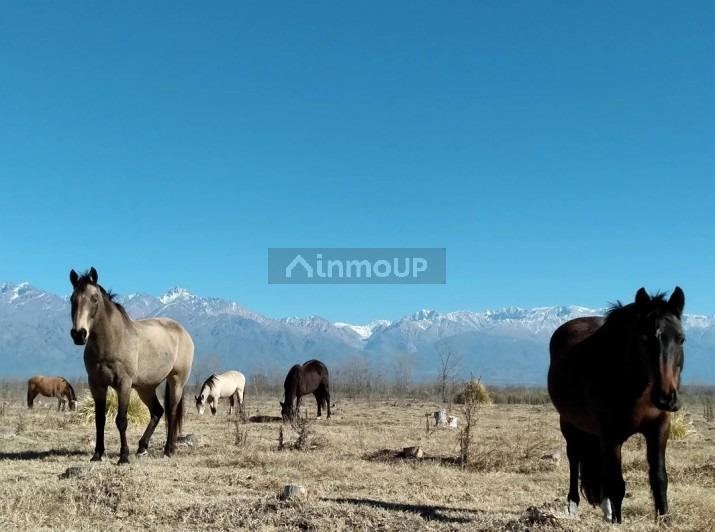 Lote en Venta en Tunuyan, Mendoza