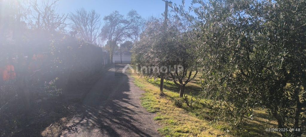 Local Comercial en Venta en Maipu, Mendoza
