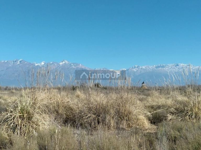 Terreno en Venta en Tunuyan, Mendoza
