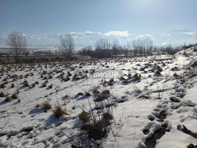 Lote en Venta en Tupungato, Mendoza