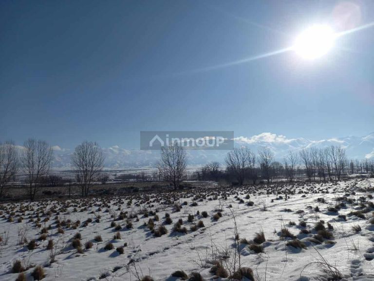 Lote en Venta en Tupungato, Mendoza