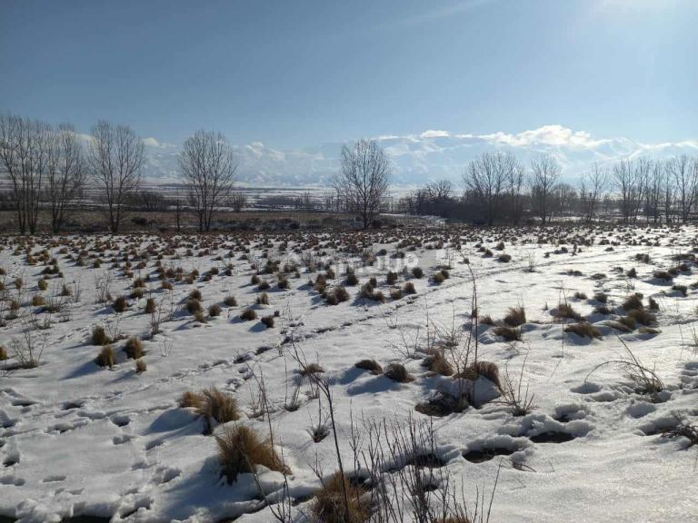 Lote en Venta en Tupungato, Mendoza