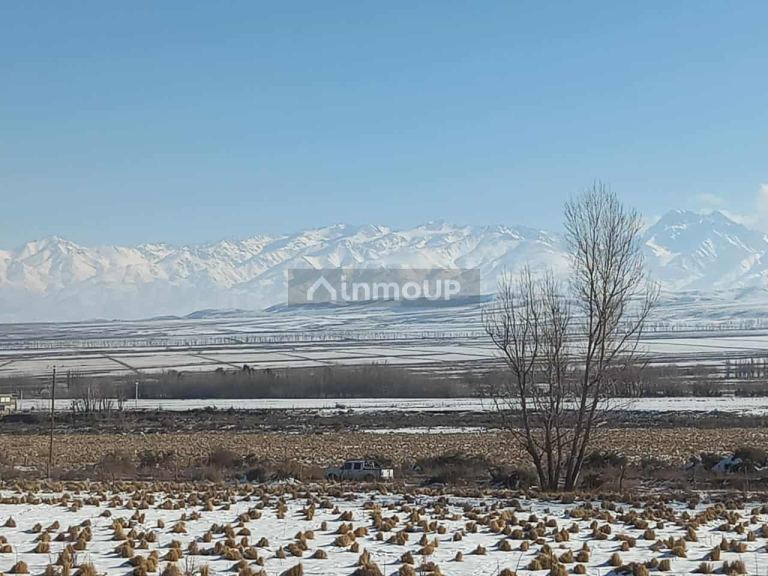 Lote en Venta en Tupungato, Mendoza
