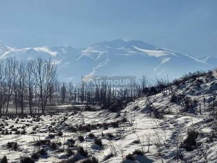 Tupungato Estupendos lotes, Ruta 89 / al pie de la Cordillera