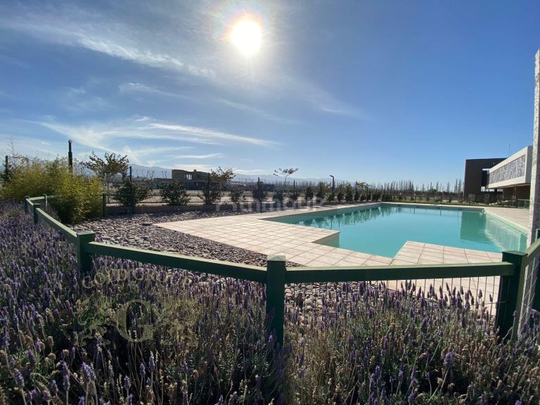Lote en Venta en Lujan de Cuyo, Mendoza