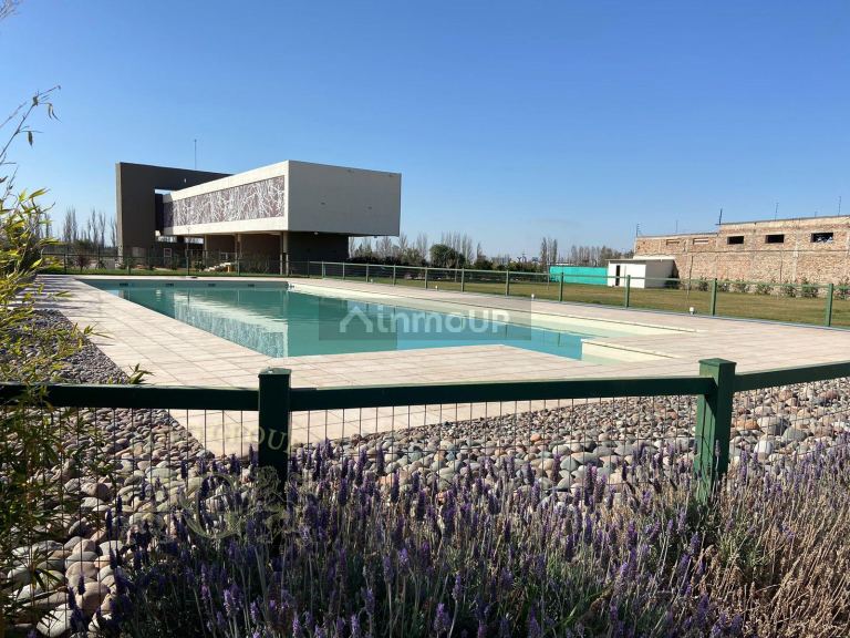 Lote en Venta en Lujan de Cuyo, Mendoza