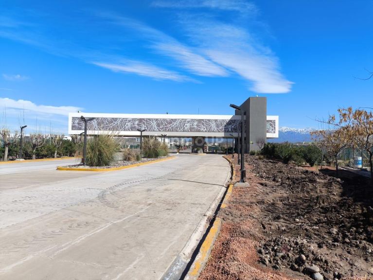 Lote en Venta en Lujan de Cuyo, Mendoza