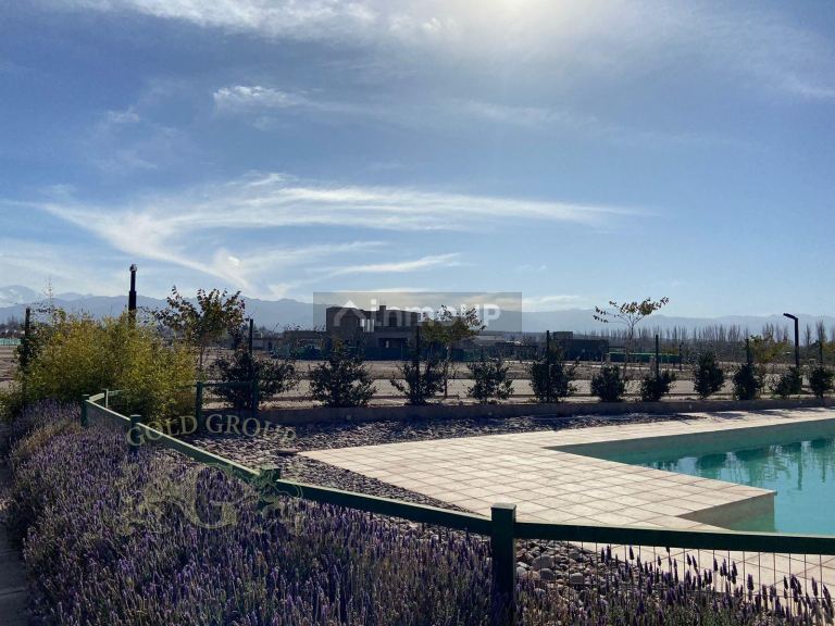 Lote en Venta en Lujan de Cuyo, Mendoza