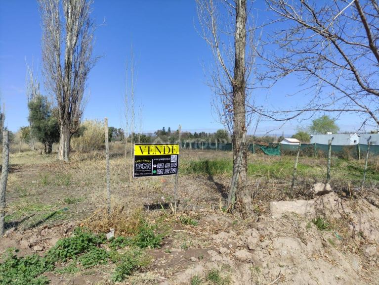 Lote en Venta en Lujan de Cuyo, Mendoza
