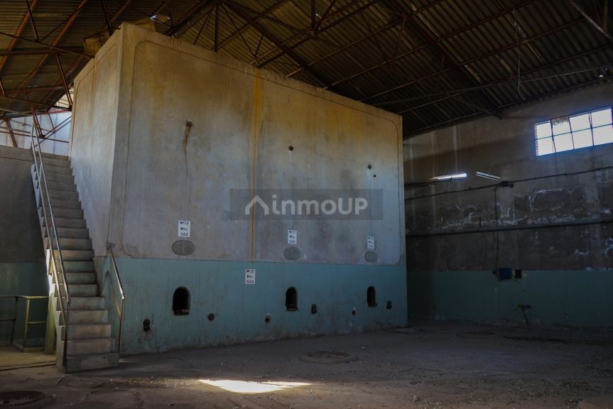 Bodega en Venta en Tunuyan, Mendoza