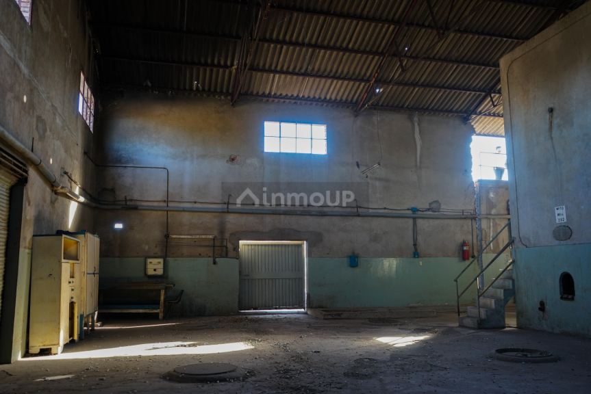 Bodega en Venta en Tunuyan, Mendoza