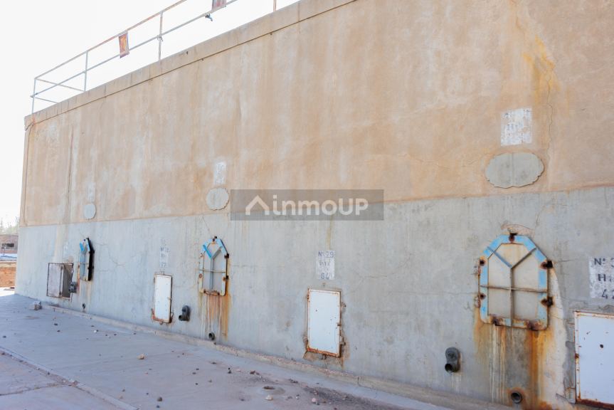 Bodega en Venta en Tunuyan, Mendoza
