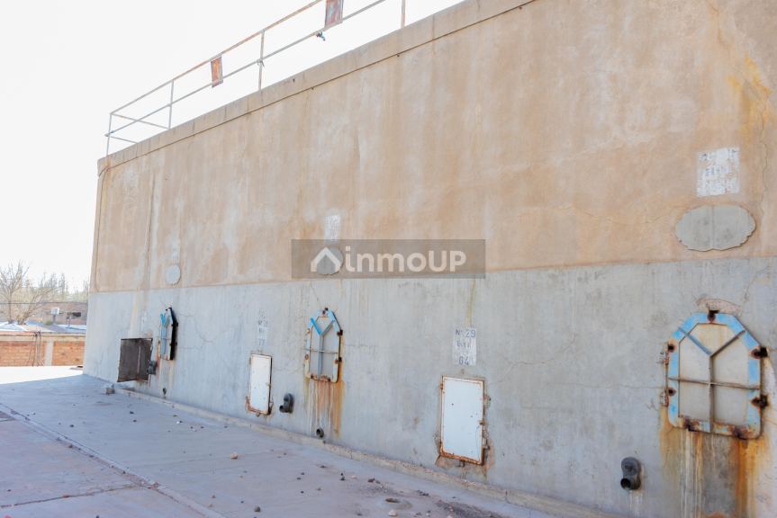Bodega en Venta en Tunuyan, Mendoza