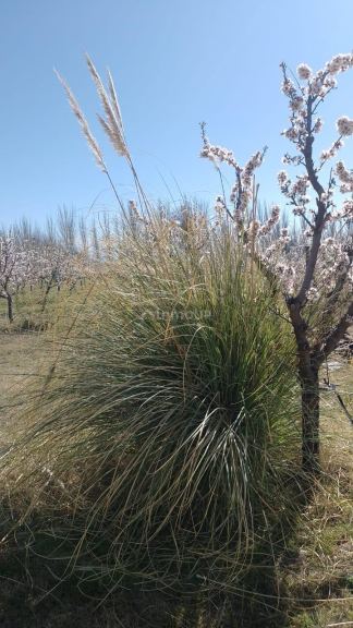 Casa en Venta en Tunuyan, Mendoza