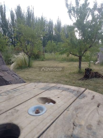 Casa en Venta en Tunuyan, Mendoza