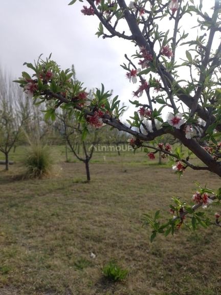 Casa en Venta en Tunuyan, Mendoza