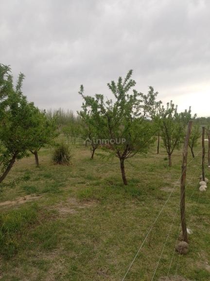 Casa en Venta en Tunuyan, Mendoza
