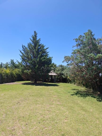 Casa Quinta en Venta en Maipu, Mendoza