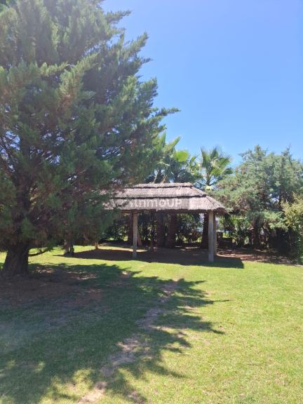 Casa Quinta en Venta en Maipu, Mendoza