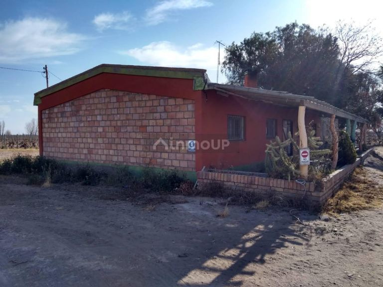 Viñedo en Venta en Santa Rosa, Mendoza