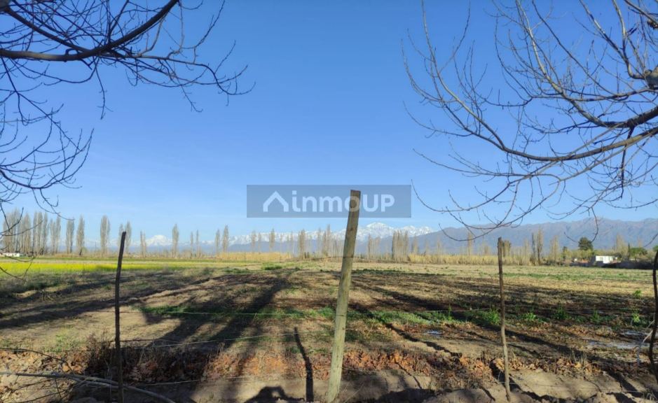 Lote en Venta en Lujan de Cuyo, Mendoza