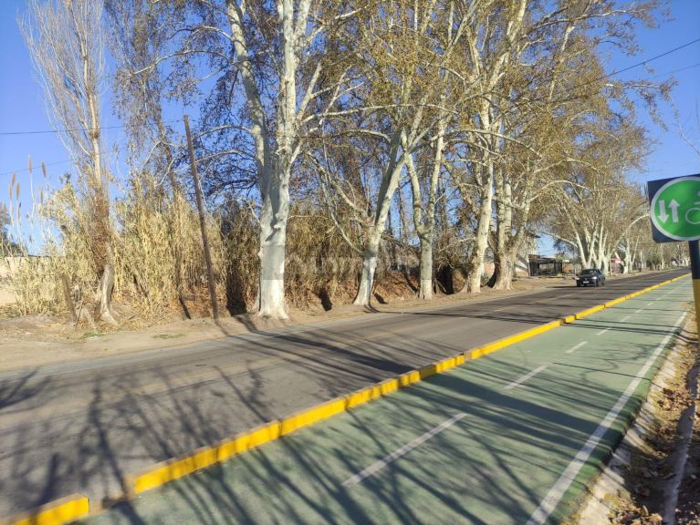 Lote en Venta en Lujan de Cuyo, Mendoza
