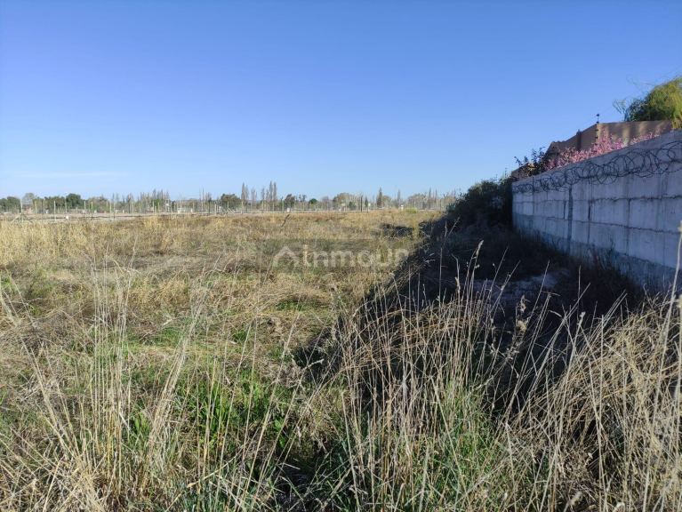 Terreno en Venta en Lujan de Cuyo, Mendoza
