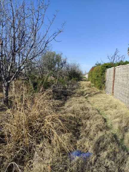 Terreno en Venta en Lujan de Cuyo, Mendoza