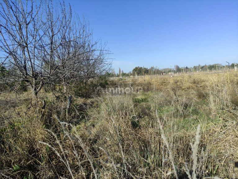 Terreno en Venta en Lujan de Cuyo, Mendoza