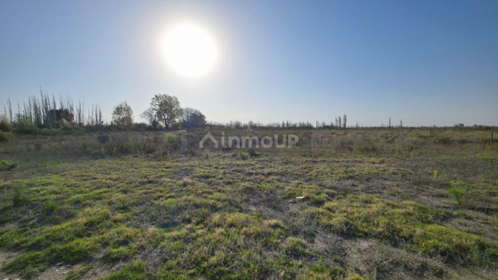 Terreno en Venta en San Rafael, Mendoza