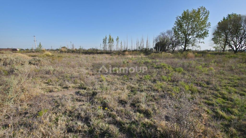 Terreno en Venta en San Rafael, Mendoza