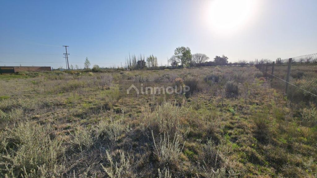 Lote en Venta en San Rafael, Mendoza