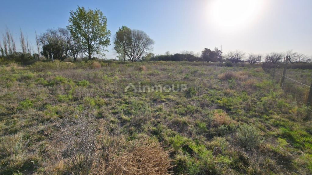 Lote en Venta en San Rafael, Mendoza