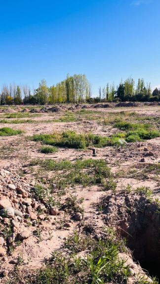 Terreno en Venta en Maipu, Mendoza