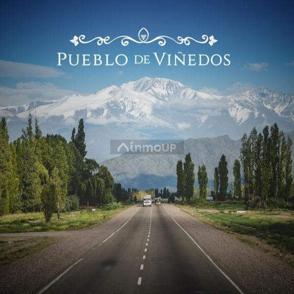 Lote en Venta en Lujan de Cuyo, Mendoza