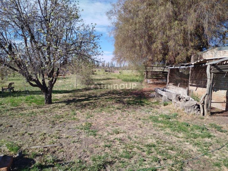 Casa en Venta en San Rafael, Mendoza