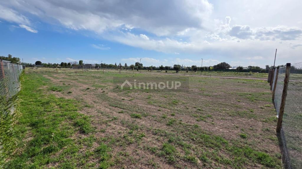 Lote en Venta en San Rafael, Mendoza