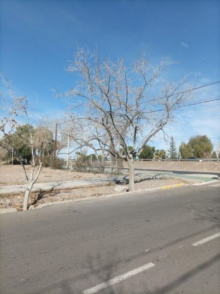 Terreno en Venta en Maipu, Mendoza