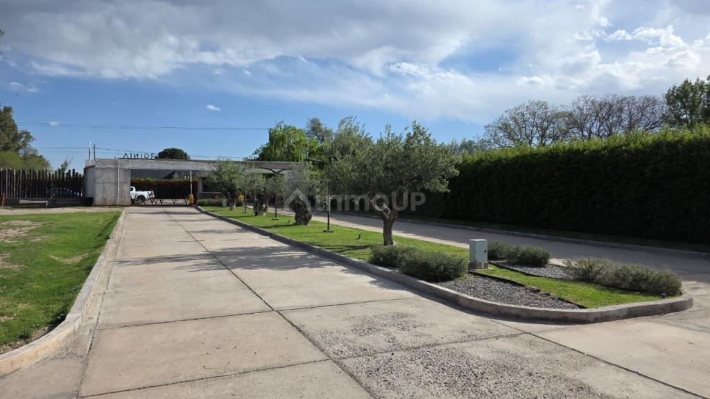 Terreno en Venta en San Rafael, Mendoza